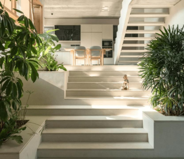 Entrance Plants
